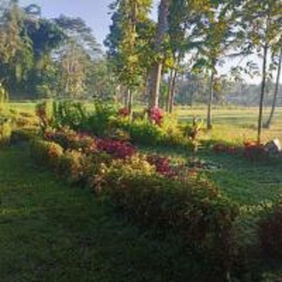 Tereng Wilis Bungalows تيتيباتو المظهر الخارجي الصورة